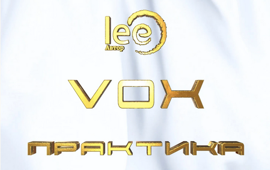 Lee Vox Практика 2024 слив курса
