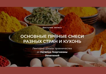 Наталия Замятина Основные пряные смеси разных стран и кухонь 2023 слив