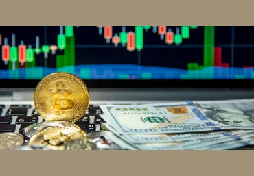 Pifagor Trade «Всё, что я знаю» - курс обучения торговле криптовалютой на бирже 2023 слив