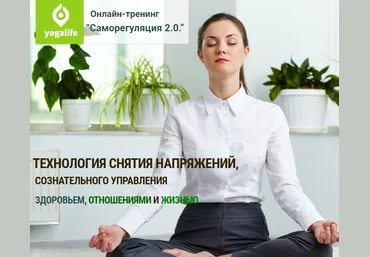 Вячеслав Смирнов - Саморегуляция 2.0 слив