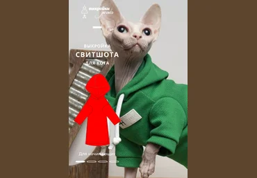 patterneasy Шитьё Свитшот для кота 2022 скачать слив