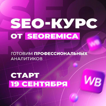 Павел Seoremica SEO для wildberries 3.0 2022 слив курса