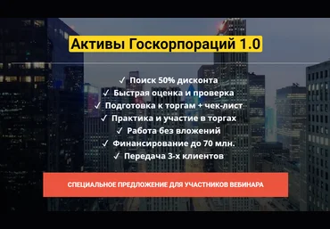 Юрий и Наталья Павловы Активы Госкорпораций 1.0 2020 слив