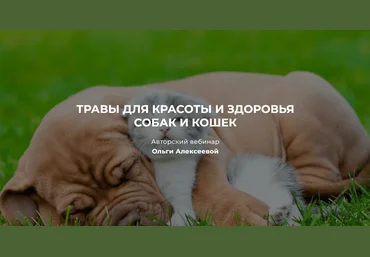 Ольга Алексеева Травы для красоты и здоровья собак и кошек 2023 слив