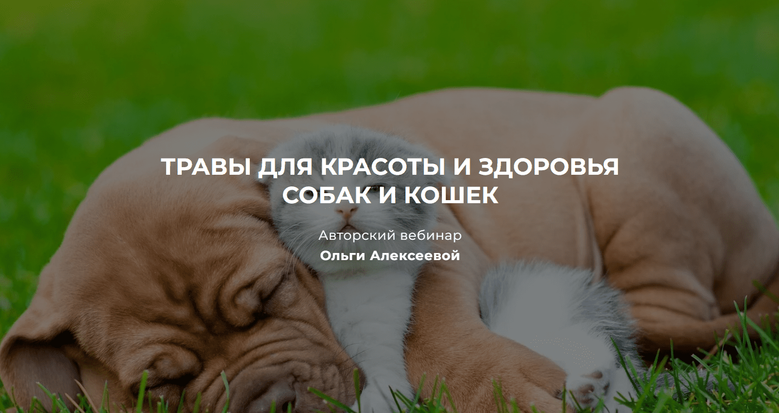 Ольга Алексеева Травы для красоты и здоровья собак и кошек 2023 слив курса