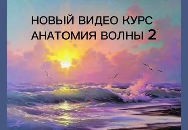 Виталий Антипин Анатомия волны 2 2023 слив