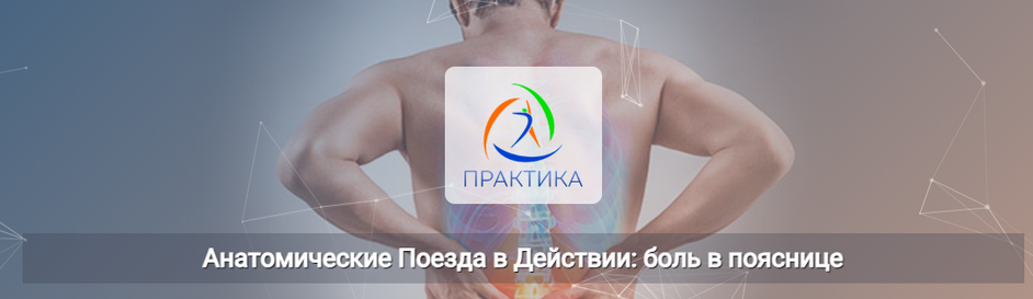 Анна Щербина Центр Практика Анатомические поезда в действии: боль в пояснице 2025 слив курса