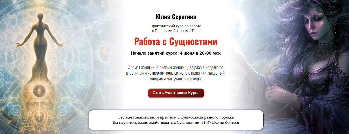 Юлия Серягина Работа с Сущностями 2024 слив курса
