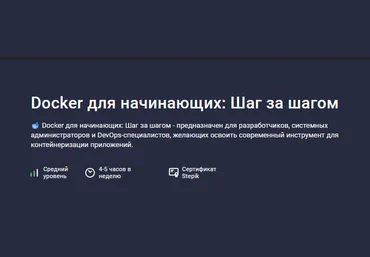 Максим Дуплей Stepik Docker для начинающих: Шаг за шагом 2024 слив
