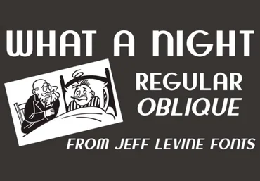 Myfonts What A Night Font 2021 слив