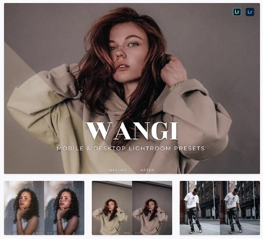 Elements.Envato Wangi Mobile and Desktop Lightroom Presets 2021 слив курса