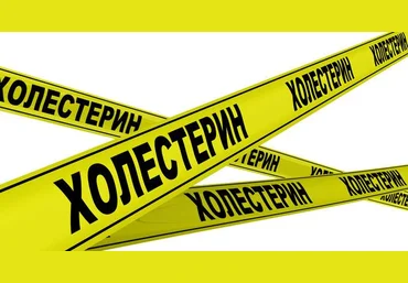 Ольги Ковган Вебинар «Как подружиться с холестерином?» 2023 слив