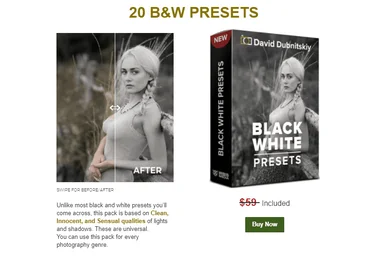David Dubnitskiy 20 B&W Presets 2021 слив