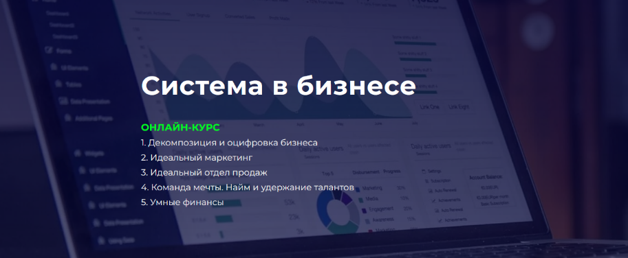 Денис Сергеев Система в бизнесе 2024 слив курса