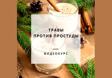 Яна Горбовская Траволечение простуды 2021 слив