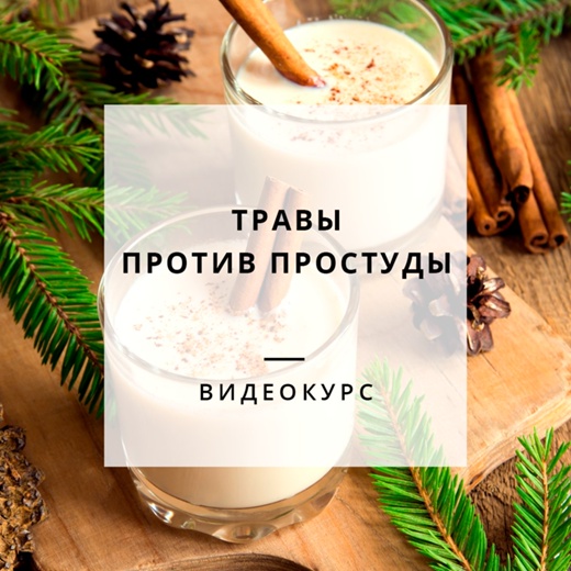 Яна Горбовская Траволечение простуды 2021 слив курса