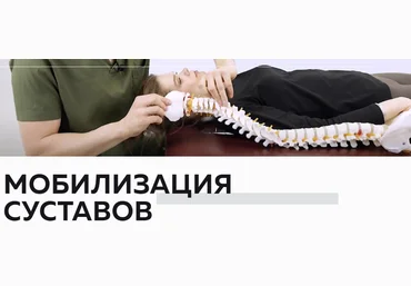 NL-School Петр Лебедев - Мобилизация суставов 2023 слив