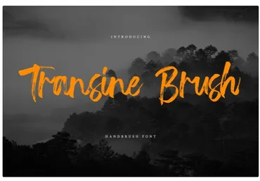 Creativemarket Transine Brush Font скачать слив