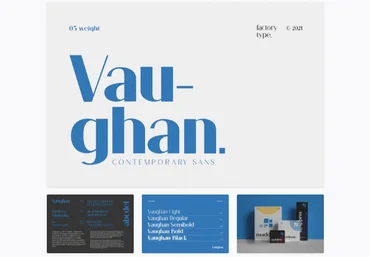 Elements.Envato Vaughan Font 2021 скачать слив