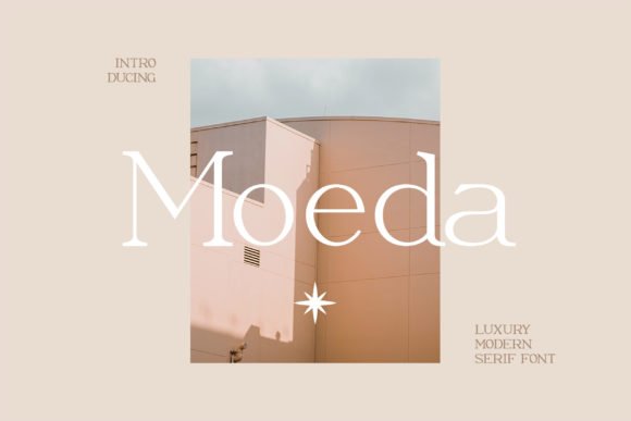 Creativefabrica Moeda Font 2021 слив курса