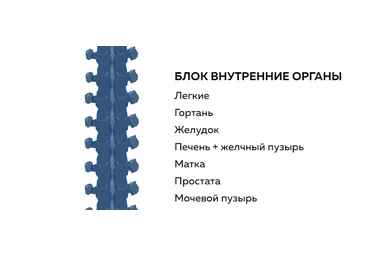 Григорий Крутов Блок внутренние органы 2021 слив