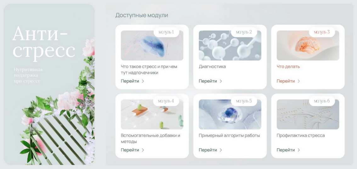 Ксения Машкина dr_mashkina Антистресс 2024 слив курса