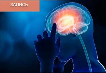 Сергей Зайцев Китайские средства для улучшения деятельности головного мозга 2024 слив