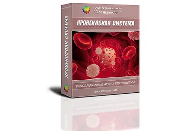 Кровеносная система программа для женщин - Ревенко 2016 слив
