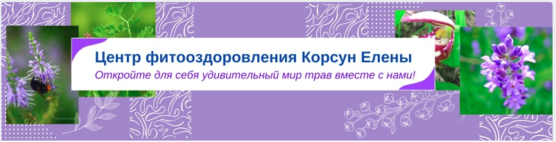 Елена Корсун Фитотерапия при тромбозах 2021 слив курса