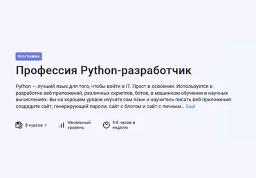 Илья Фофанов Stepik Профессия Python-разработчик 2024 слив