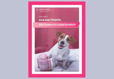 Софья Рожновская Инстркция «Как настроить рекламную кампанию» 2021 слив