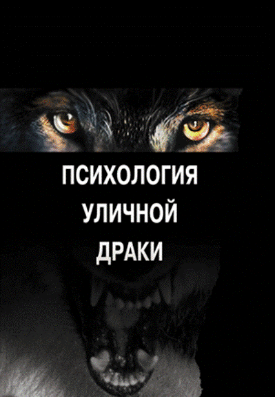 Психология уличной драки - Стоянов слив курса