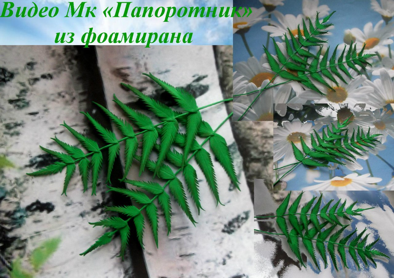 Папоротник из фоамирана - Мирсанова 2016 слив курса