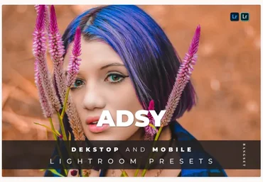 Elements.Envato Adsy Desktop and Mobile Lightroom Preset 2021 скачать слив