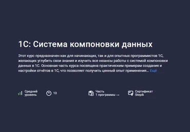 Василий Еремин Stepik 1С: Система компоновки данных 2024 слив