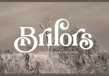 Fontbundles Brilors Serif 2022 слив