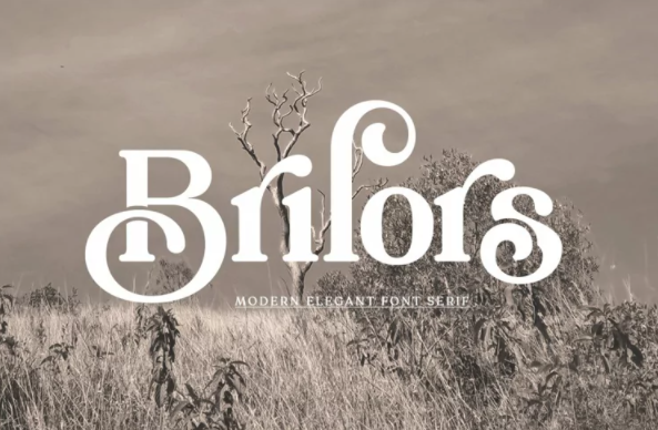 Fontbundles Brilors Serif 2022 слив курса