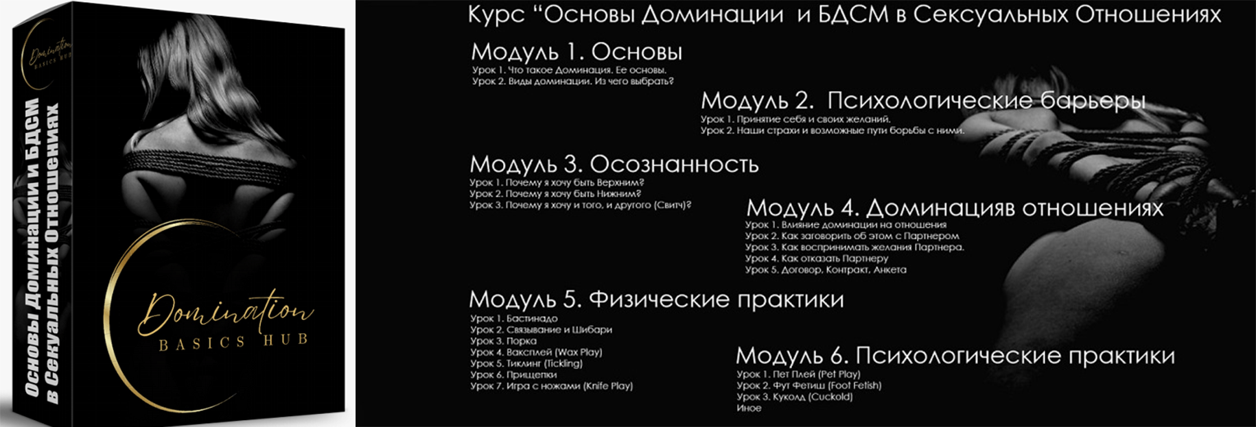 AlanBrug Да, хозяин! Экологичный БДСМ Основы доминации и БДСМ в сексуальных отношениях 2024 слив курса