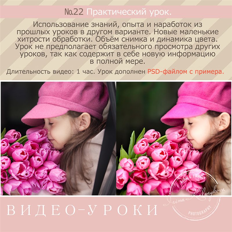Урок №22. Практический урок - Калмыкова слив курса