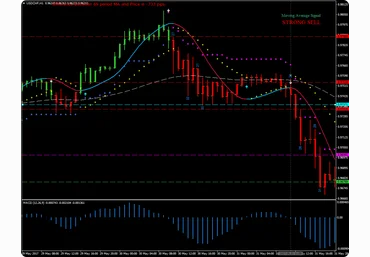 Стратегия Golden Turtle Forex System - forex4trader 2017 слив