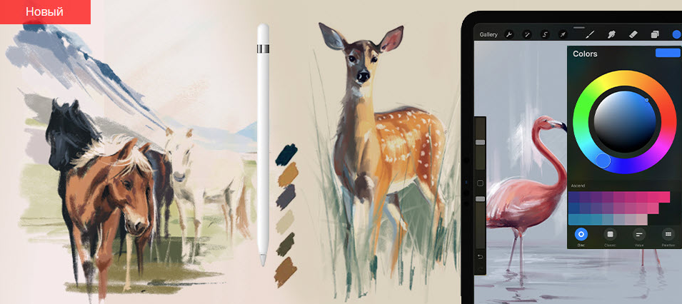 Дарья Климова markerschool Procreate, цифровая иллюстрация. Анималистика 2021 слив курса