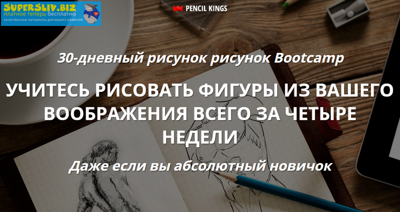 Pencilkings Интенсив по анатомии 2019 слив курса