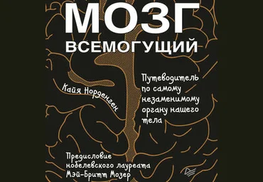 Кайя Норденген Мозг всемогущий. Путеводитель по самому незаменимому органу нашего тела 2018 слив