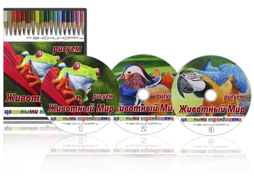 Рисуем цветными карандашами Животный Мир - Синчуков 2018 слив