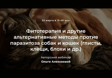Ольга Алексеева Фитотерапия и другие альтернативные методы против паразитоза собак и кошек 2022 слив