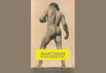 Пластическая анатомия - Онлайн интенсив слив