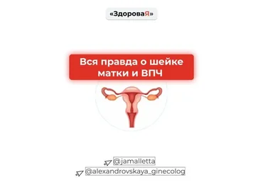 jamalletta Пособие «Вся правда о шейке матки и ВПЧ» 2020 слив