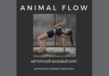 Анастасия Канивец Базовый курс ‌Animal Flow 2024 слив