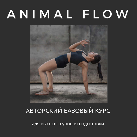 Анастасия Канивец Базовый курс ‌Animal Flow 2024 слив курса