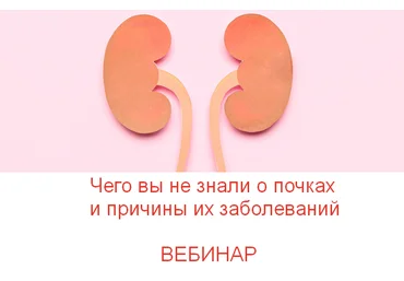 Валерий Подрубаев humberto 2.0 Чего вы не знали о почках и причины их заболеваний 2023 слив
